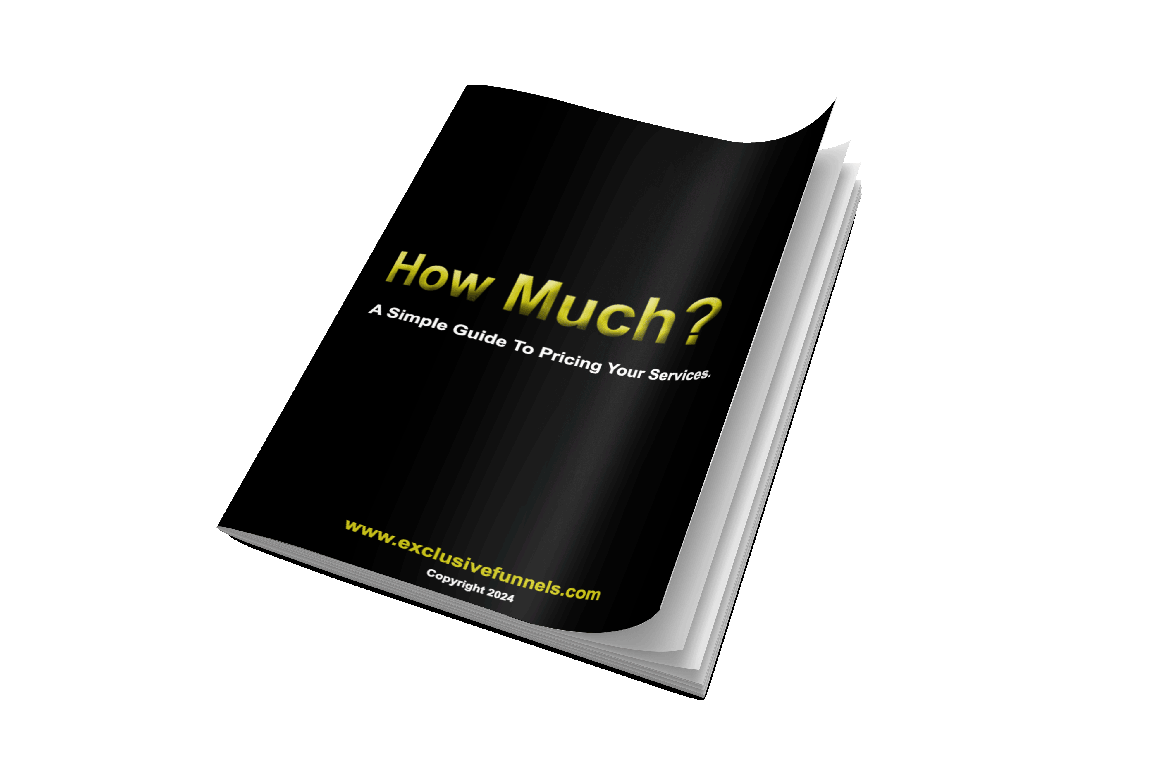 A FREE guide to help companies determine how much they should be charging their clients for their services.